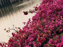 -海心沙亚运公园