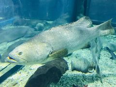 -福州罗源湾海洋世界旅游区