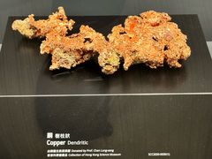 -香港科学馆