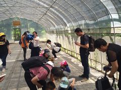 -前小桔亲子创意农场·草莓采摘·露营烧烤