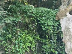 -杭州黄龙洞