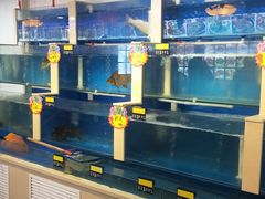水产区-合家院饭庄(榆关道店)