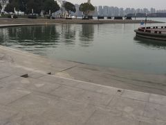 -金鸡湖景区