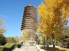 -玲珑塔公园