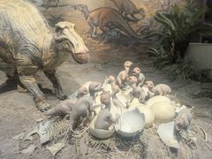 -自贡恐龙博物馆