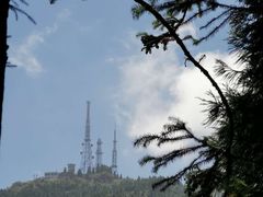 -武陵山森林公园