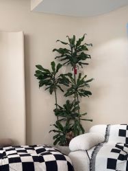 点击看大图 -KONSISTANT科思坦汀问题肌·科技美肤
