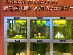 -芸山季·云南野生菌火锅(宝能环球汇店)