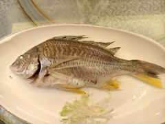 -吴记富苑(朝阳店)