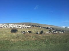 -青海湖国家重点风景名胜区