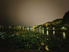 -楼外楼(西湖景区孤山路店)