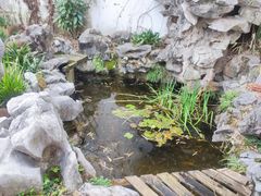 -美味之家·湖景农家乐(太湖东山店)