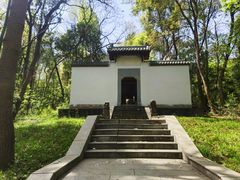 -青龙山国家森林公园