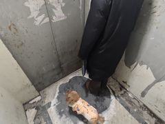 -鞍钢博物馆