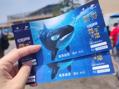 -上海海昌海洋公园