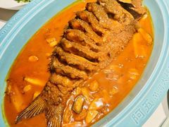 -阿五黄河大鲤鱼(纬三路店)