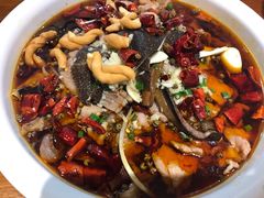 -盛天毛血旺非遗美食(观音桥店)