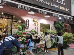-溪岸路花鸟市场