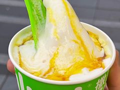 -Salud撒露欧洲冻酸奶(五道口购物中心店)