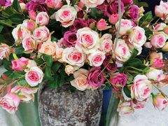 -重庆市江北嘴中央商务区中央公园