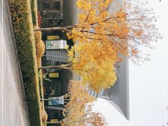 -太原武宿国际机场