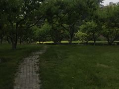 -康庄公园