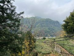 -藏龙百瀑风景区