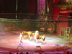 -珠海横琴长隆《卡卡虎奇遇记》