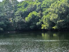 -杭州半山国家森林公园