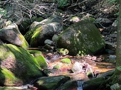 -三块石国家森林公园