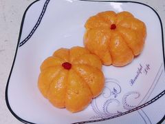 -田螺阿姨自营月嫂·育儿嫂(高新店)