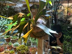-瑞虹新天地月亮湾