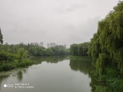 -昆山城市生态森林公园