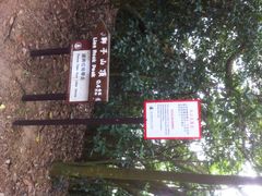 iphone_upload_pic-狮子山郊野公园