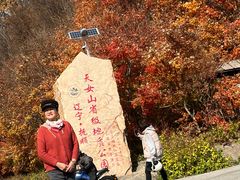 -天女山森林公园