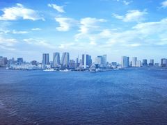 -秋叶原电器街