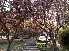 -大连植物园