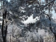 -天姥山景区