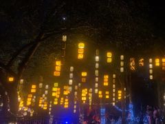 -广西壮族自治区药用植物园