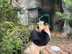 -泉州海丝野生动物世界