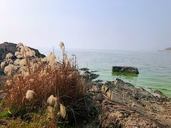-上海市保健医疗中心(华东疗养院)