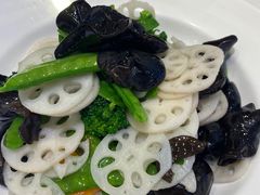 -紫光园(劲松店)