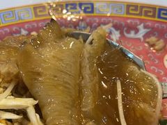 -大中鱼翅 Taitong Shark Fin