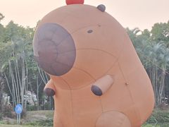 -东南花都花博园