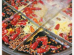 -白乐天毛肚火锅馆(解放碑店)
