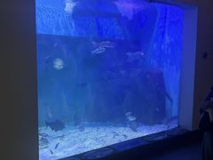 -上海长江河口科技馆