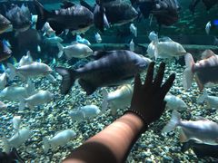 -成都浩海立方海洋公园