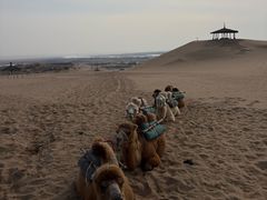 -黄沙古渡原生态旅游区