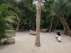 -南通洲际绿博园