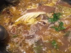 -易门野生菌府·菌海森林(月牙潭公园店)